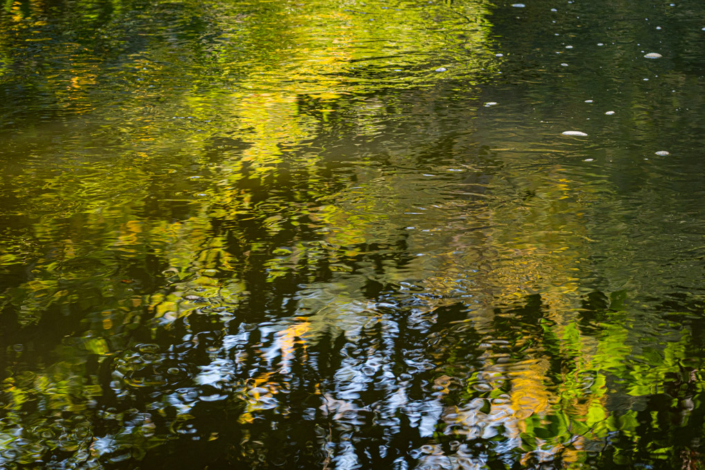 Spiegelungen