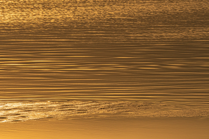 Gold-2