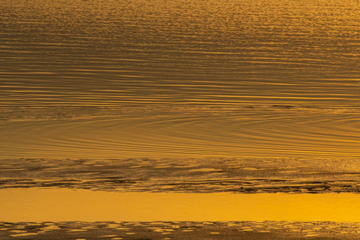 Gold-3
