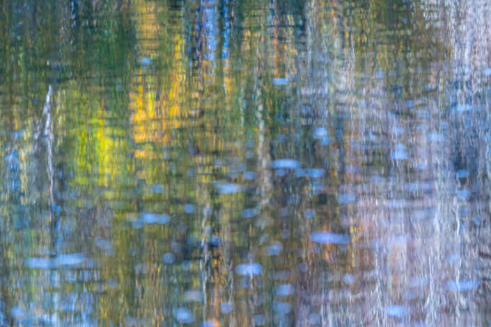 Monet