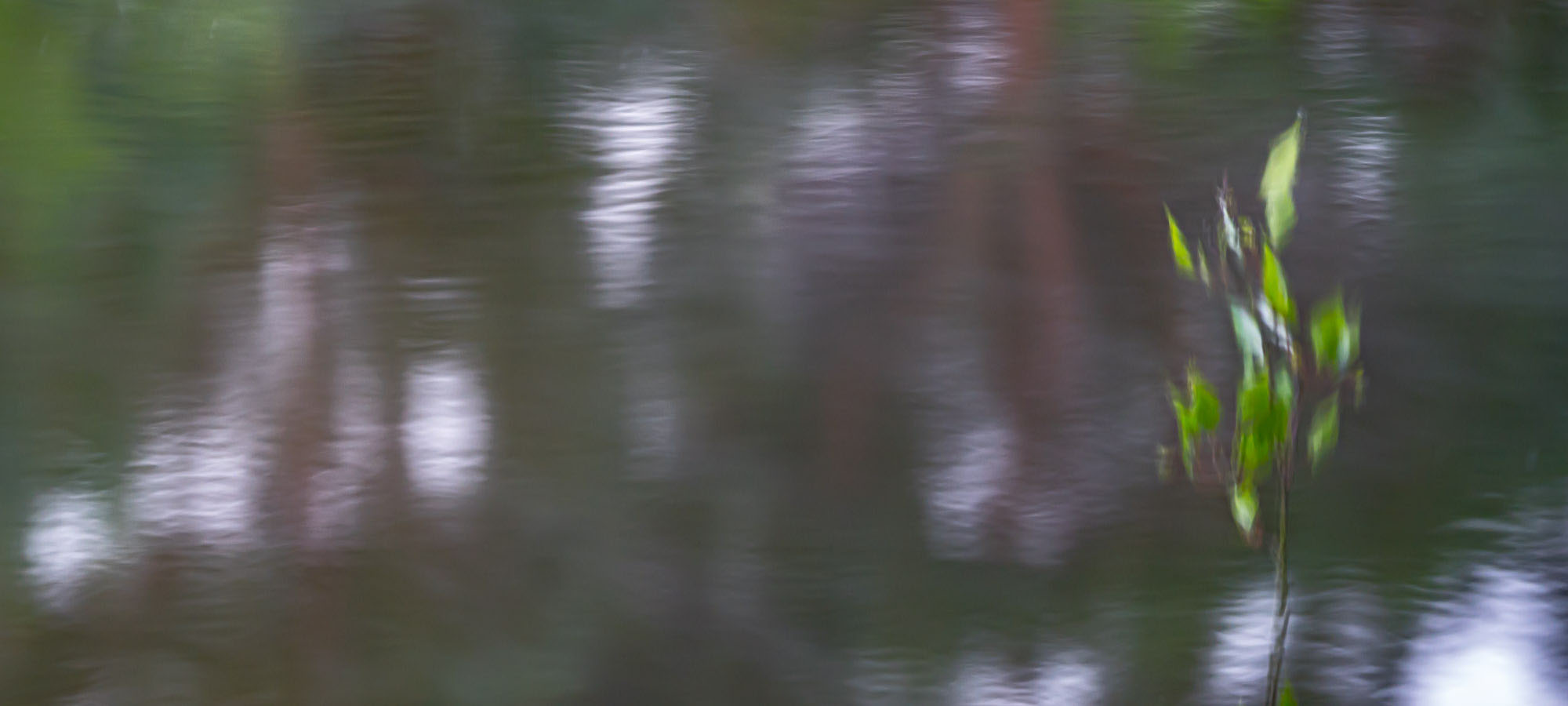Zen